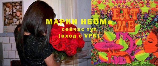 кокс Гусев