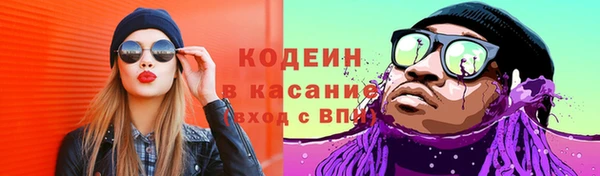 кокс Гусев