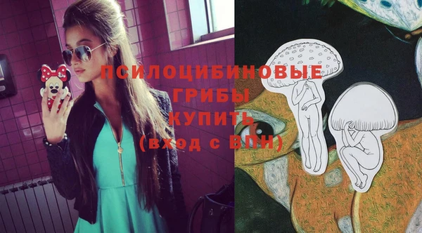кокс Гусев