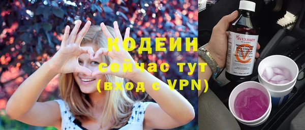 кокс Гусев