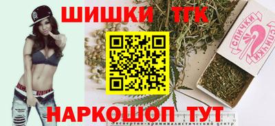 индика Ирбит