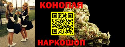 индика Ирбит