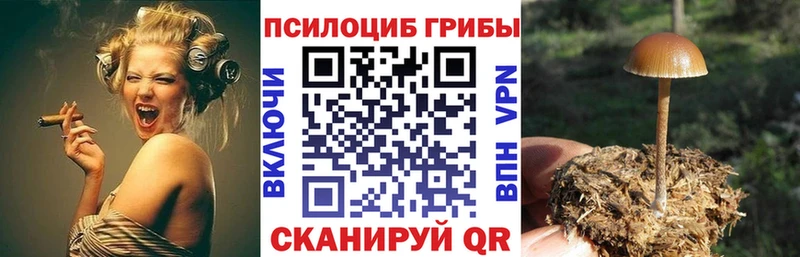 Псилоцибиновые грибы мухоморы  Можайск 
