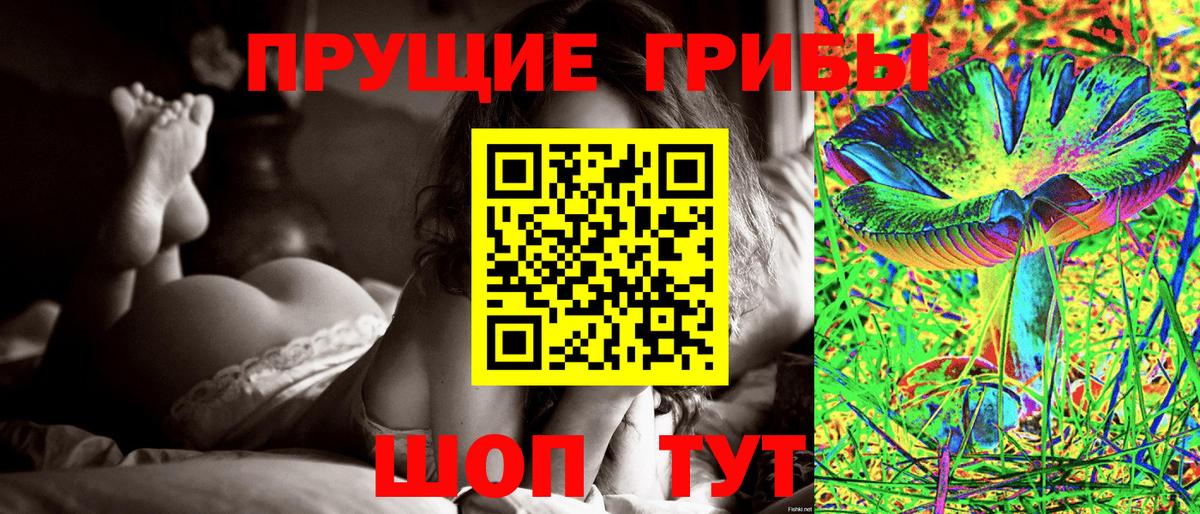 Галлюциногенные грибы Psilocybine cubensis Можайск