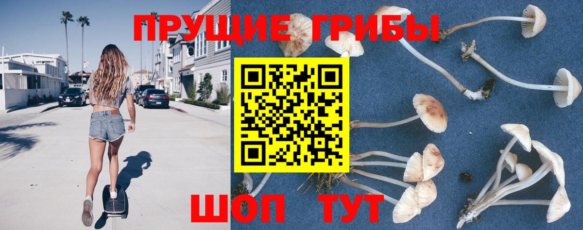 Галлюциногенные грибы мицелий Можайск